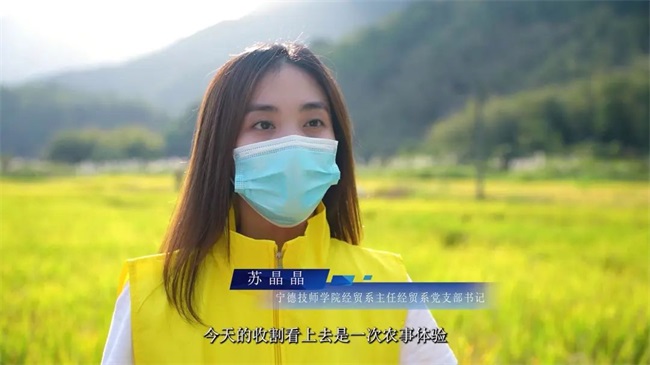 宁德市职业教育集团开展“我在宁德有亩田，稻花香里庆丰年”水稻采收活动